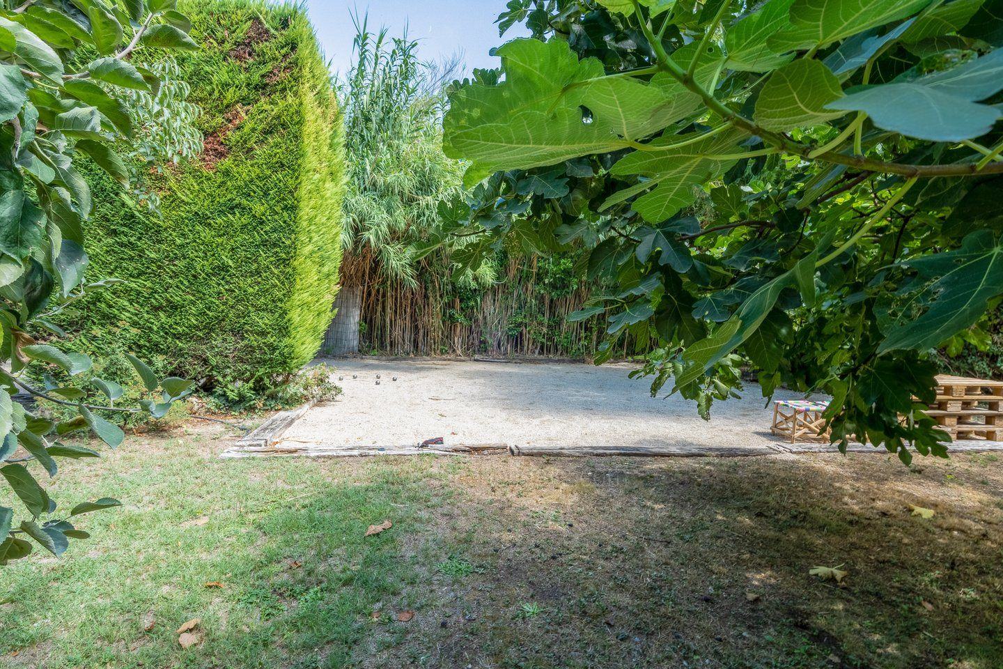 The garden frontage