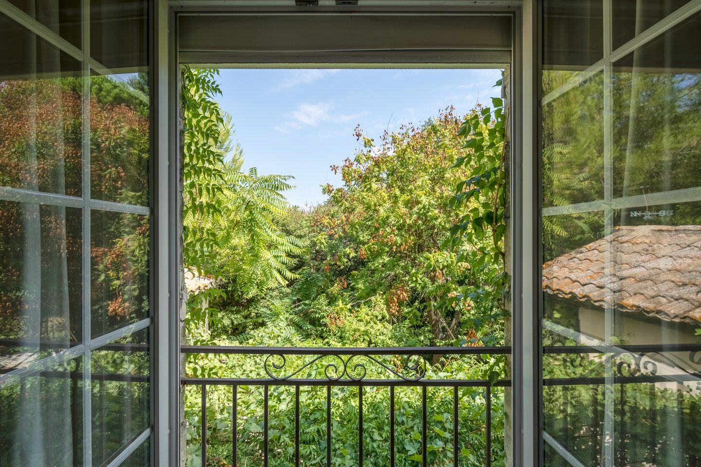 A window onto the garden